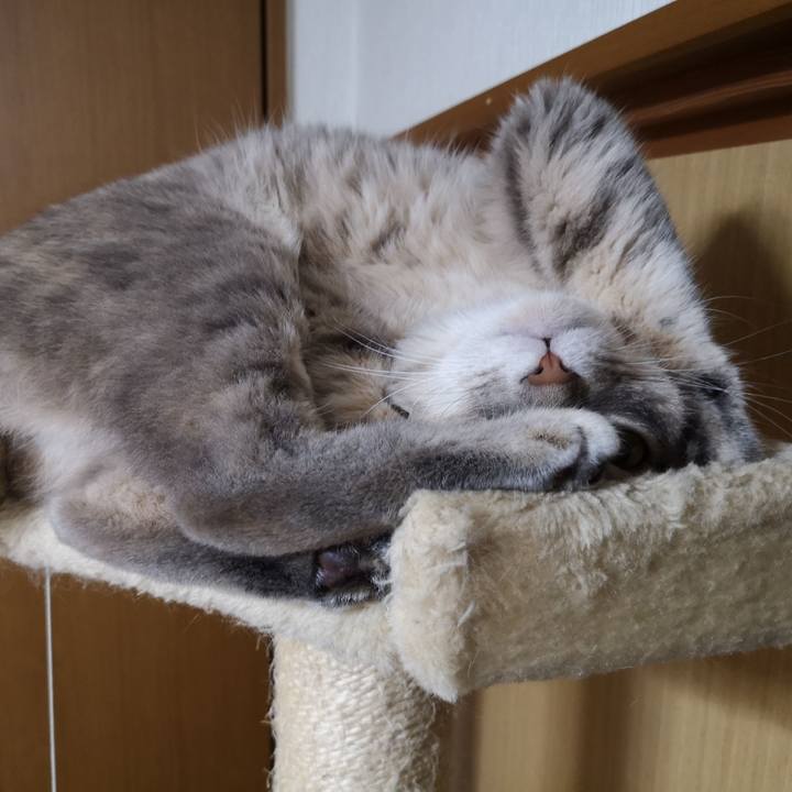 90c47616 1a8c 4147 ad14 243a8b5f2d37 1563112866497