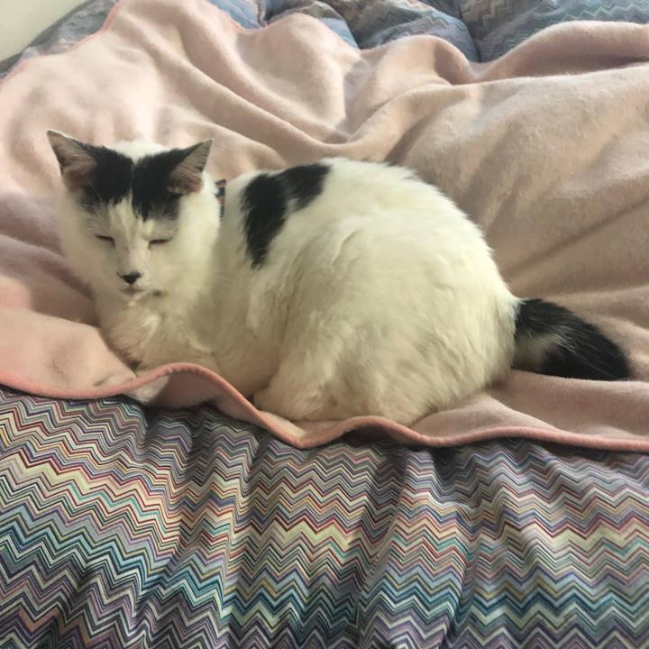 90c4940b 68c8 46ed 821d f47e4deed038 1573428279278