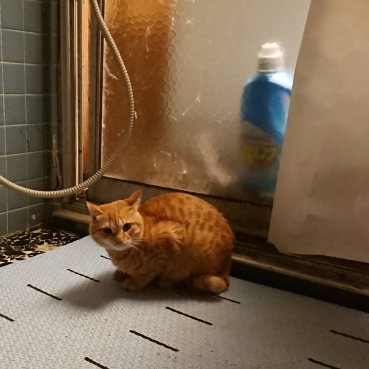 90c4b324 145b 4fac ab50 d3ece83490dc 1638268828722