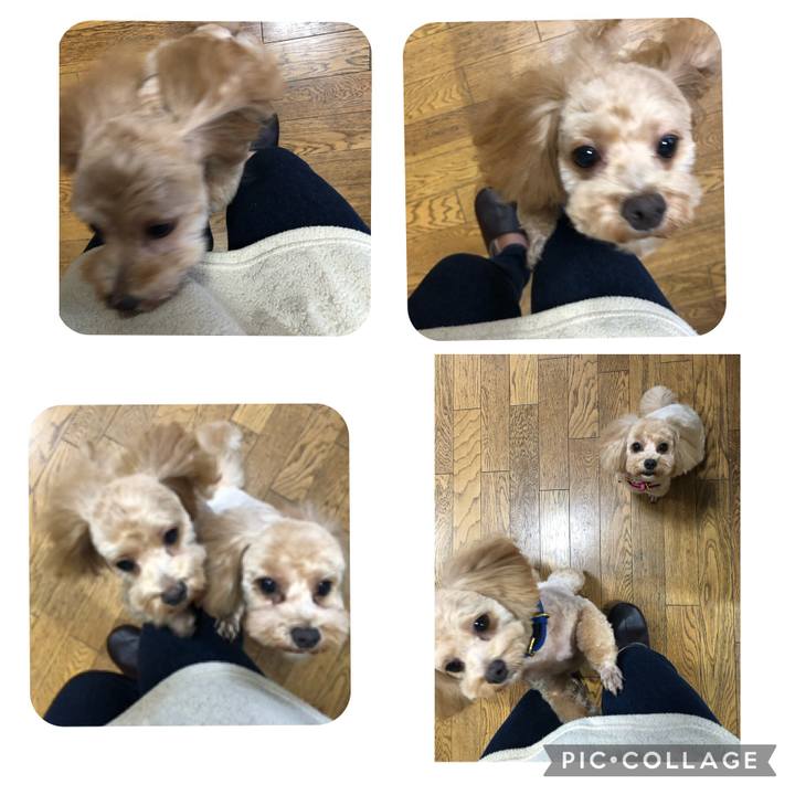 90c4f2e5 5738 4948 bcfc ce998d363d32 1661596707524