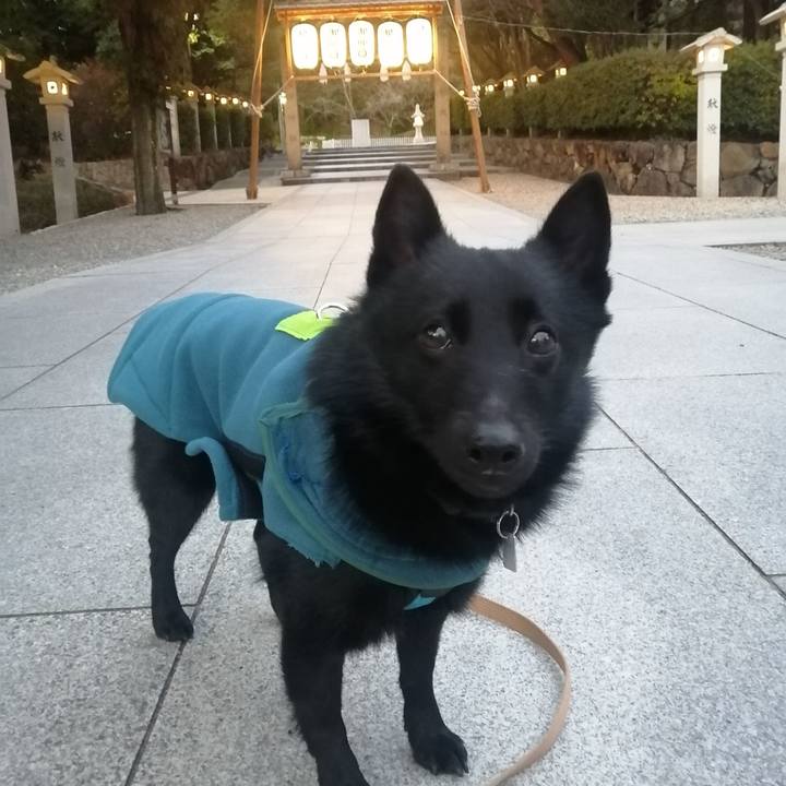 90c4f60d 868f 4f65 86ad dcf7a75180d0 1641506297141