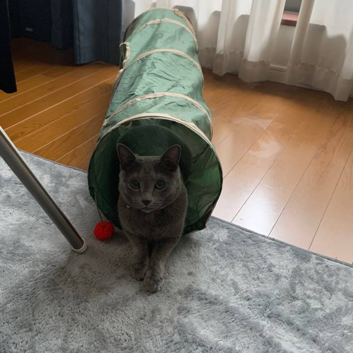 90c51b85 06d3 483b b23c 6ba9d1a02344 1629523746935