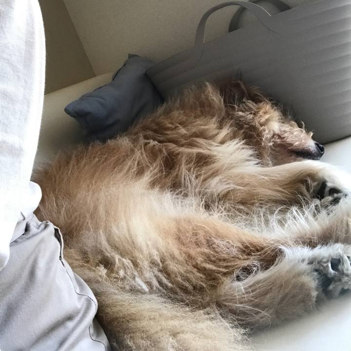 90c522af bd7d 449f b195 c675dbf3652f 1651029906870