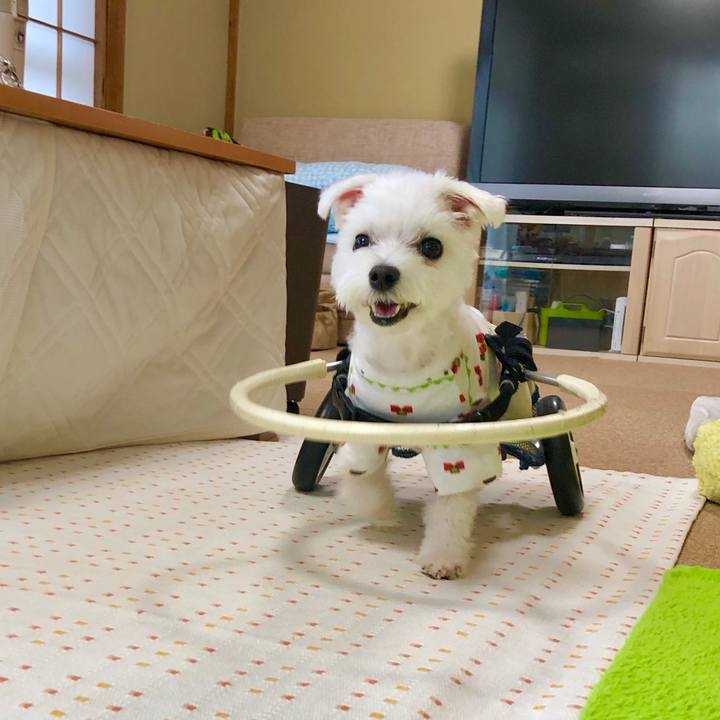 90c533f9 b5e4 4747 8fa1 1a46f0c2fba9 1564039970699