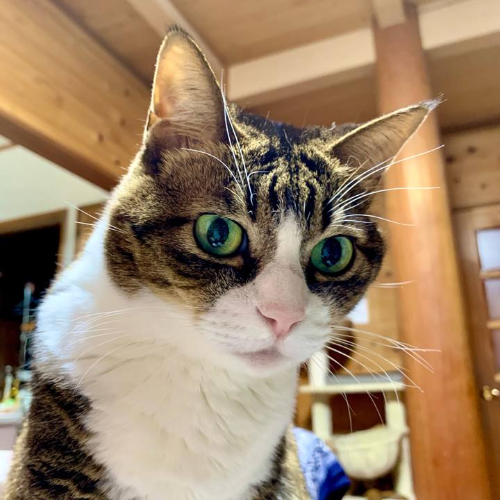 90c5357f 3b7c 4f08 b8ac 73c2dd709a85 1674389749519