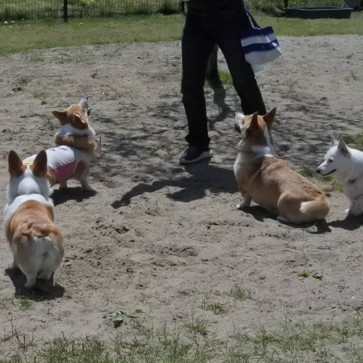 90c5361b 17c4 4a57 b901 433abd127f7e 1557536990031