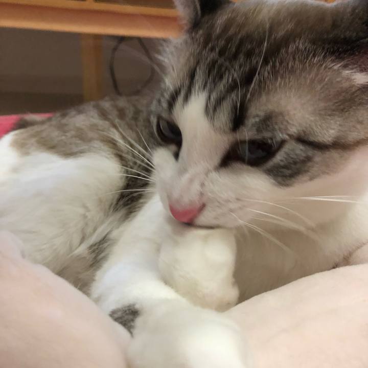 90c54c65 b5eb 4bd1 a9f4 e91a8dce43a6 1548415133448