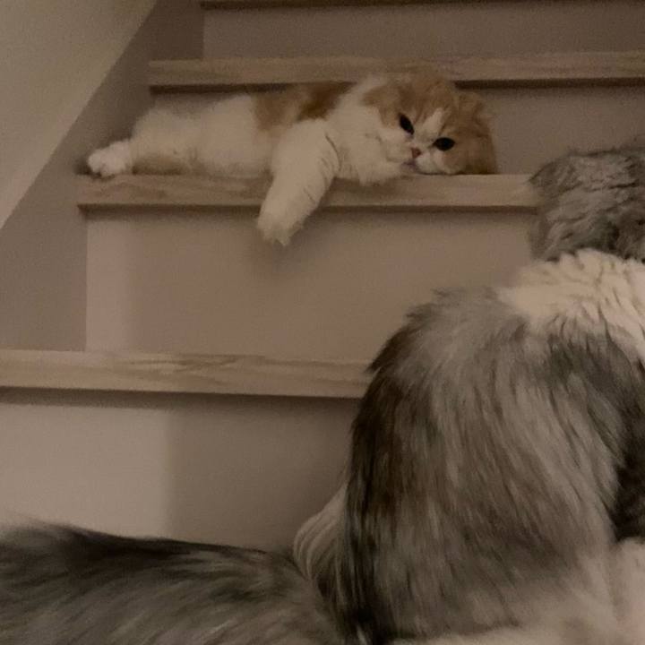 90c55d9f c26b 4831 97f4 a929544b62a2 1617195791678