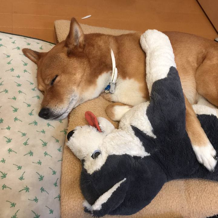 90c59196 cd0c 48d6 adc1 881337a4779b 1572848864383