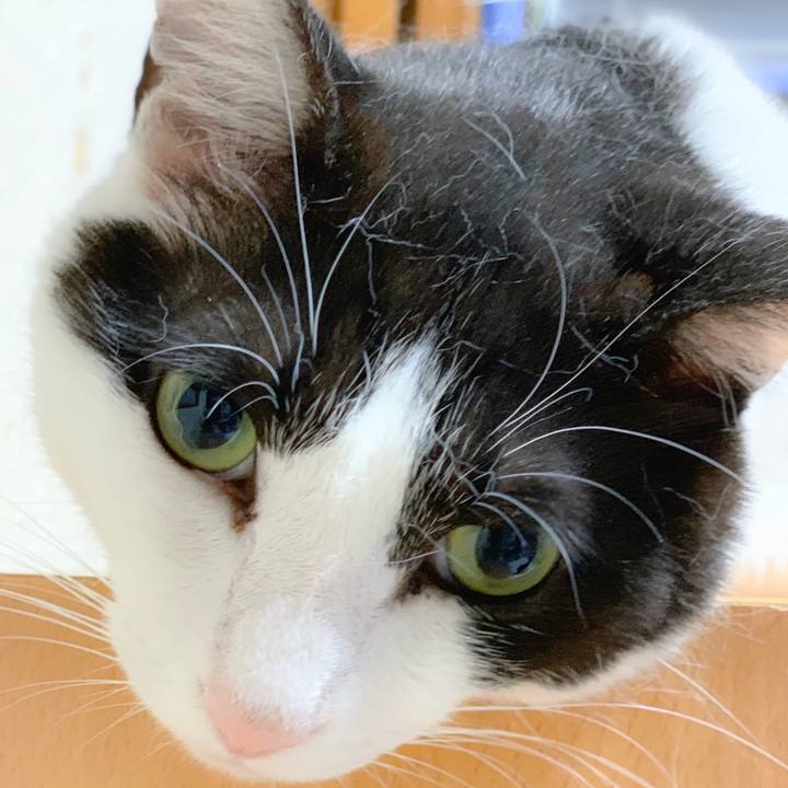 90c5a88e 3314 4509 9959 f5660dc69834 1559957736673