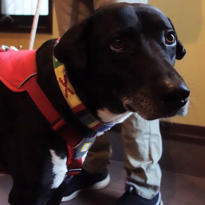 90c5bba6 fc34 4c83 80a8 2d1653519d60 1679447529835