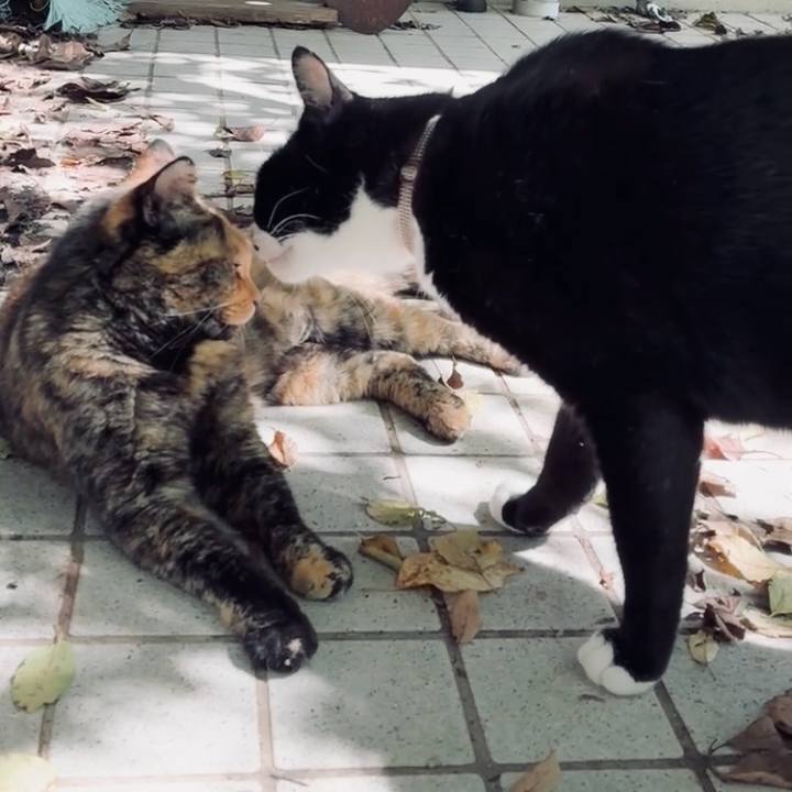 90c5ce07 b01f 4d01 a8d5 df5d3f1f99a8 1758249401466