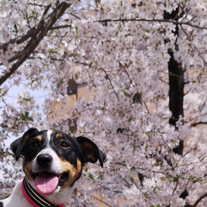 90c5ff05 dee2 499c b2a6 3ae5f64eaed9 1616856498121