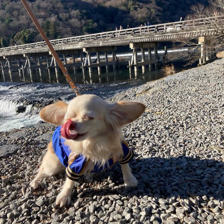 90c63bf6 0eb9 4f66 8757 e6a3ab2c90e9 1672923120595