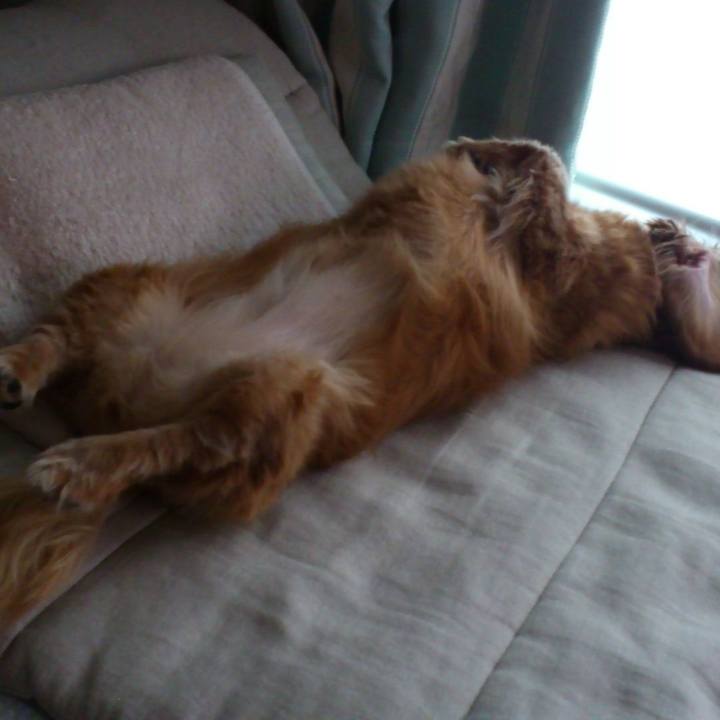 90c66c02 3882 4464 a5a3 b9e9cdb3cadd 1550742779895