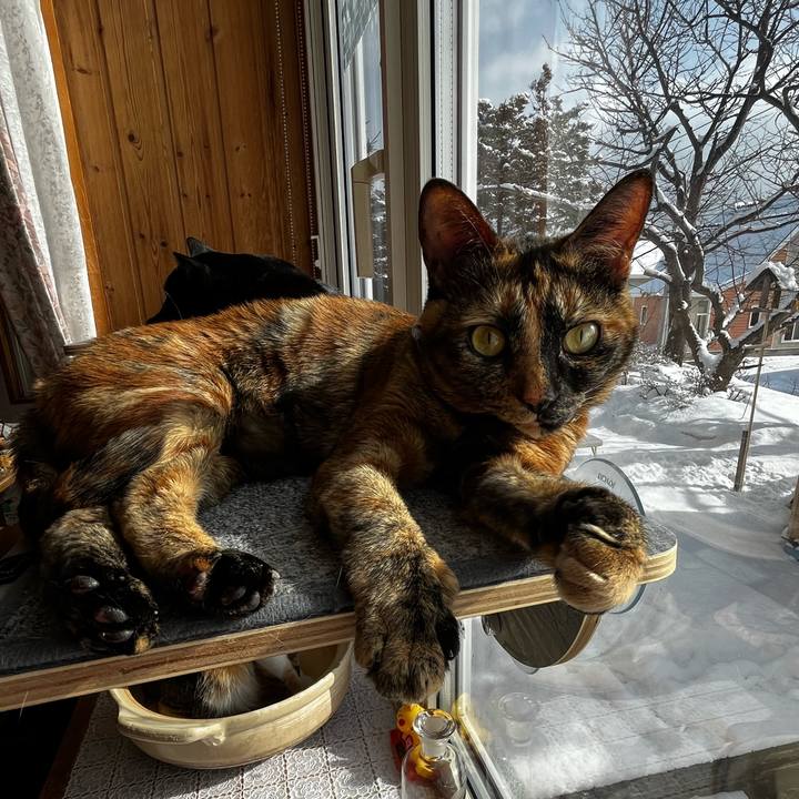 90c67b67 0744 4881 bf61 65a86ed28988 1708477597860