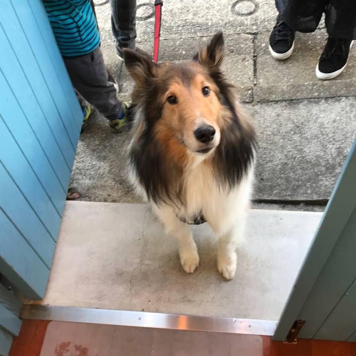 90c6928a 2bc3 4dbf ae28 eb4414e99a7c 1551535561792