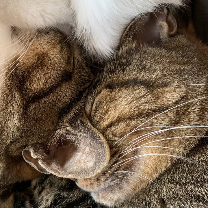 90c698d5 4116 45a0 8802 69a03c4f4ab3 1580693712777