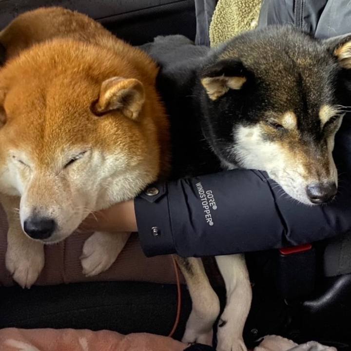 90c6ae38 4ebd 4148 a227 62474abe928a 1645356968039