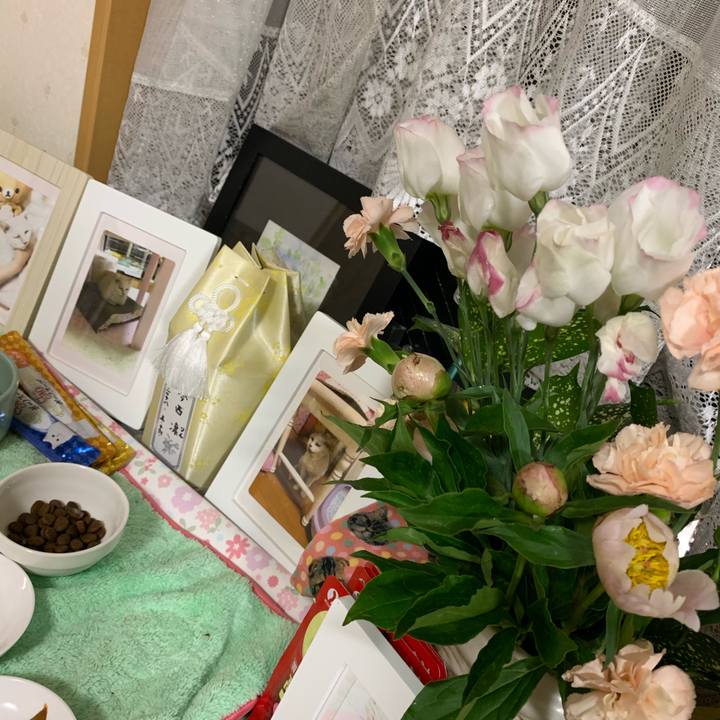 90c70762 52f6 4c9c 9c75 04949e28c1ef 1558020279485