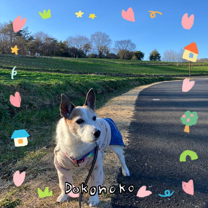 90c75042 9f99 465a 8fe1 684cf1ab7a08 1741561653554