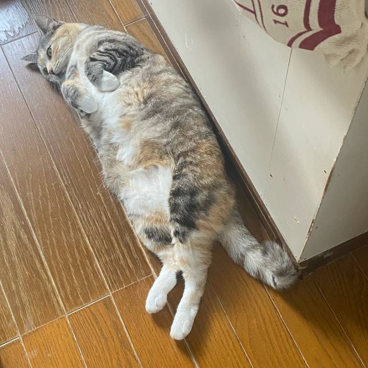 90c7857a d3a9 4d6e 9cbe ca8ceb0b0075 1621919651957