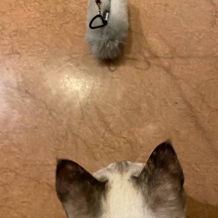 90c7a147 c564 4ea0 98ca 4640331b6fb7 1637833027935