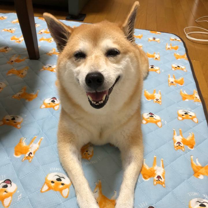 90c7a4a1 4a16 4143 80d2 c3b7a3a61b0b 1569039240389