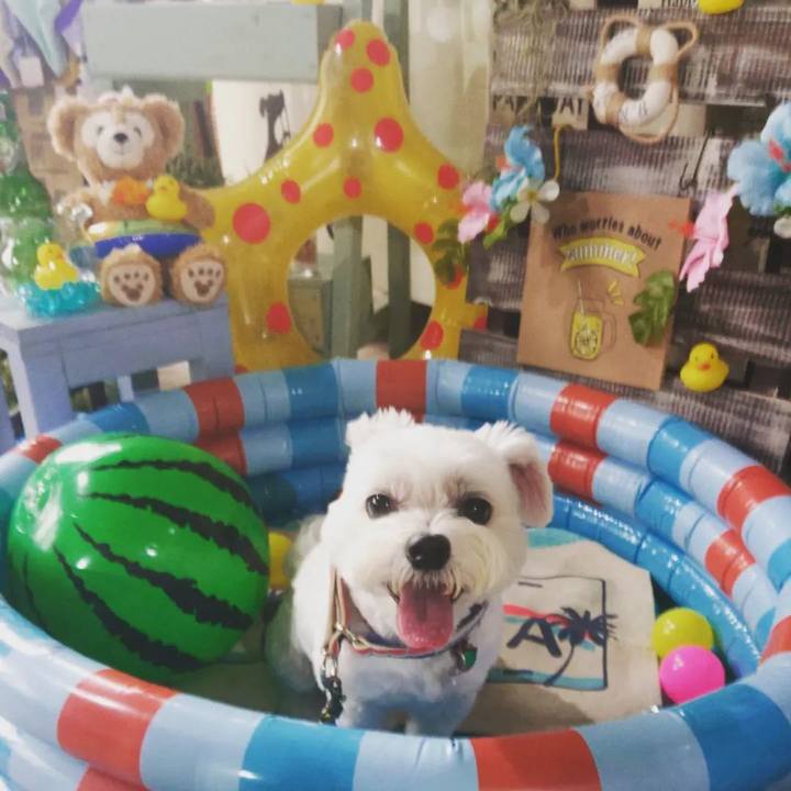 90c7affc d747 4935 ab92 16344ede8d1b 1660372116549