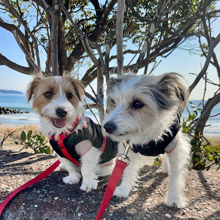 90c7b3b9 7ba4 4ee2 a573 7f86d06bbaaa 1768721214322