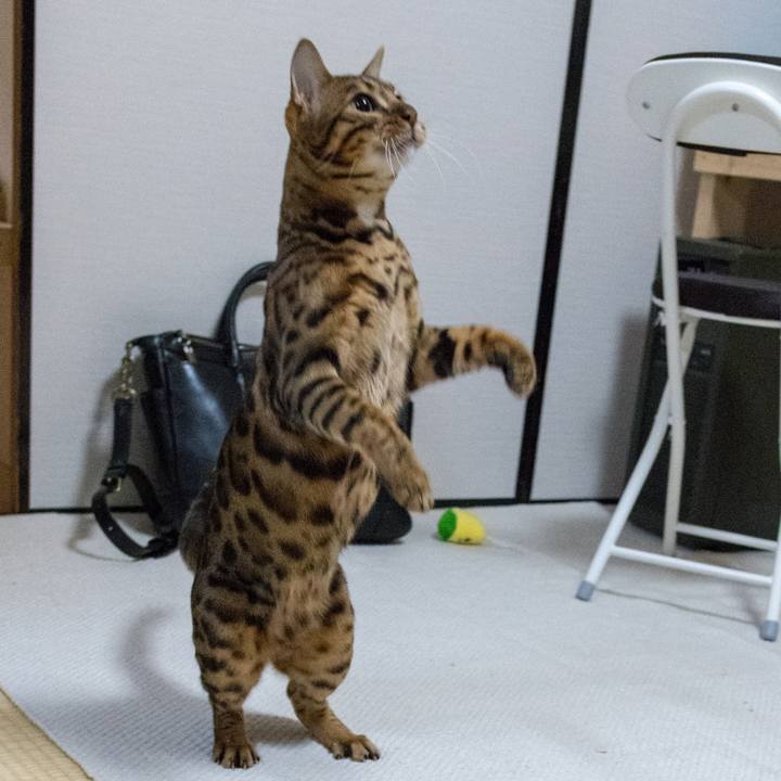 90c7ba80 ff79 42d8 bdfa e671fe0af521 1518272238178