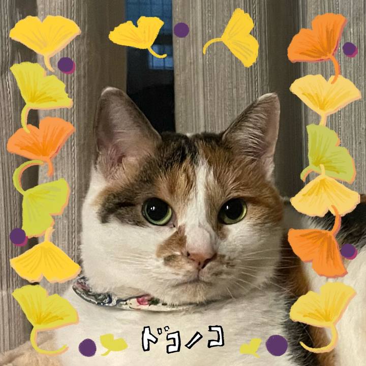 90c7dade 51eb 4e13 81aa 39fdd8ea13a0 1730380091965