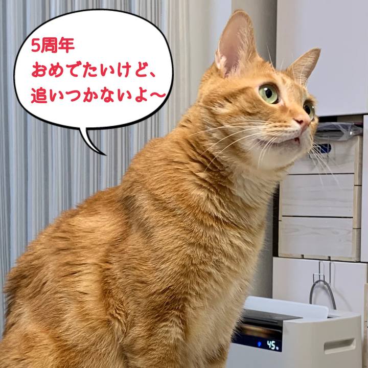 90c7f0b2 ffa1 41dc b588 37920c4e80e1 1623065340174