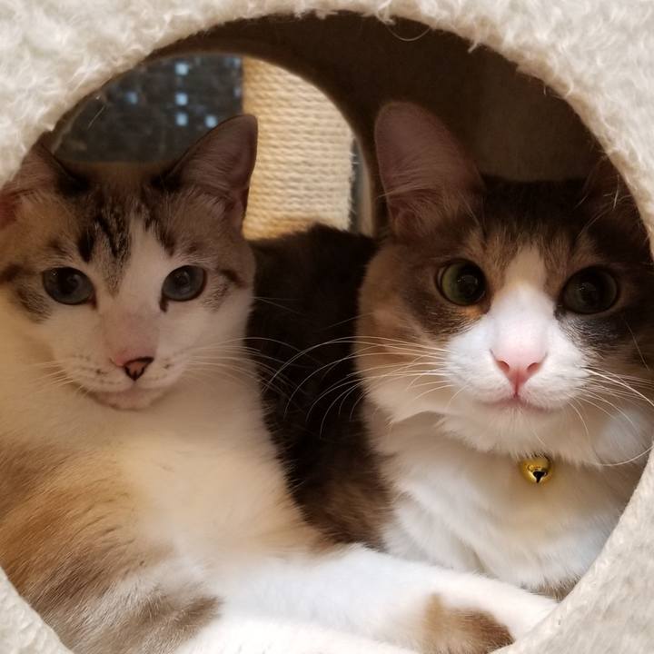 90c8139b 4311 4bb9 930f 78dca70ebc15 1524738659325