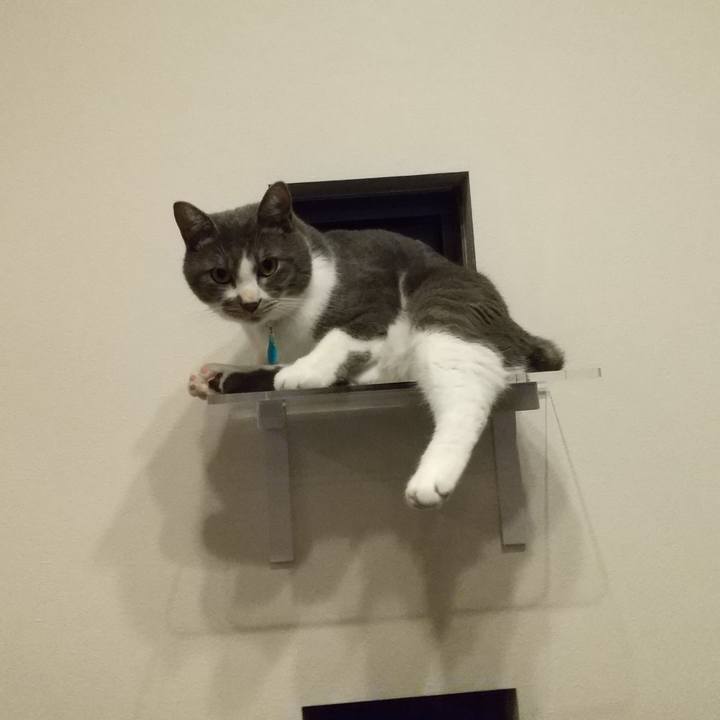 90c83925 bdb5 490f 882c a37f947dba5a 1627124929799