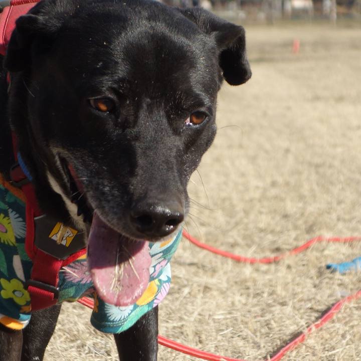 90c84a68 a623 401e b076 b49989cd5851 1677463106120