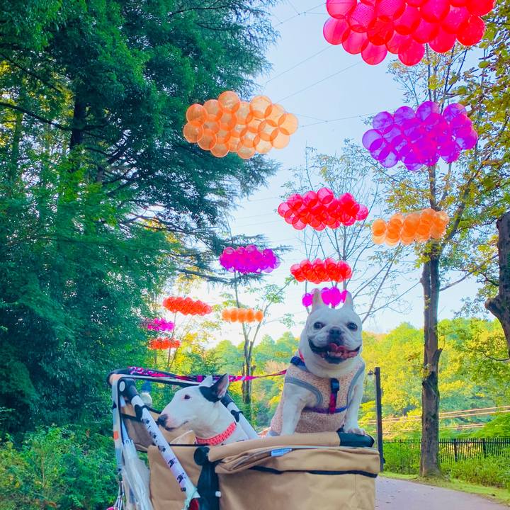 90c8ab20 2da4 40cd 994f 9c15f7884968 1603360680425