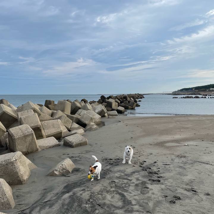 90c95265 87ab 4d92 ba7a f1790234914c 1697758229723