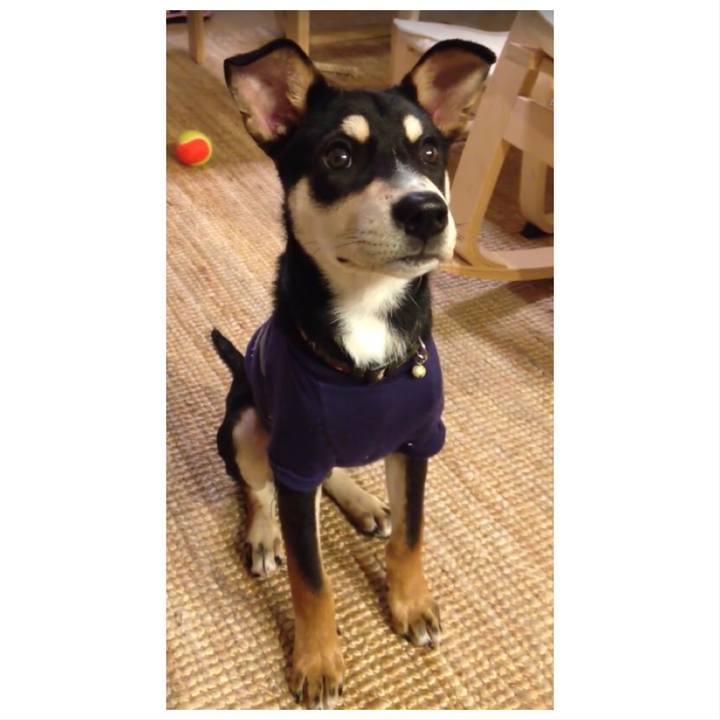 90c9c196 b37d 4ea7 af52 d5dc39621959 1542110701172