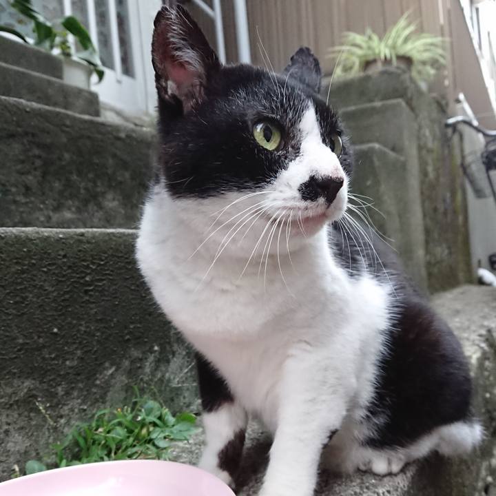 90c9ceec 1c86 456c a01a fa44bf600c25 1694085134774