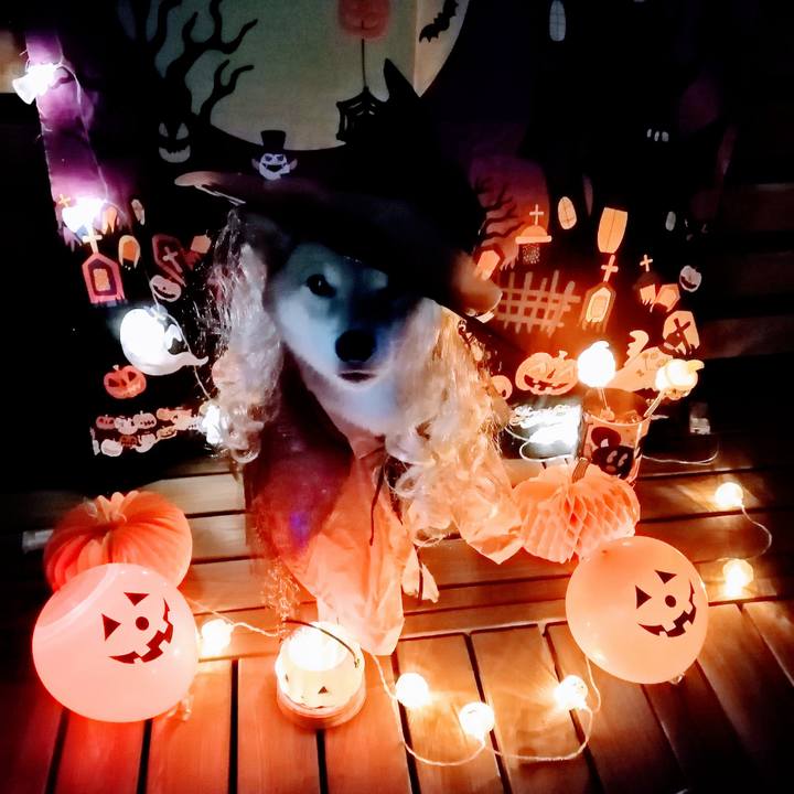 90c9f933 6182 4275 9dcf 683577554095 1604134214822