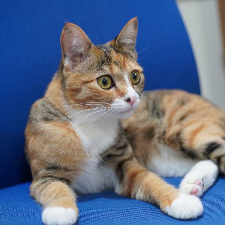 90ca3579 2277 4873 b950 ede310bc64c7 1588852787388