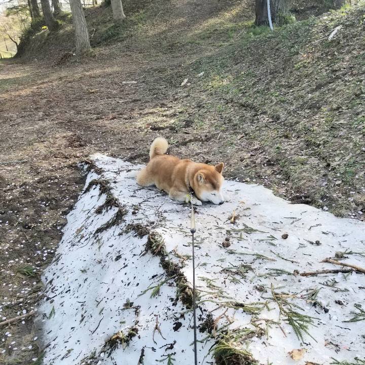 90ca40b4 c701 41c6 b000 74bb26964900 1650870426013