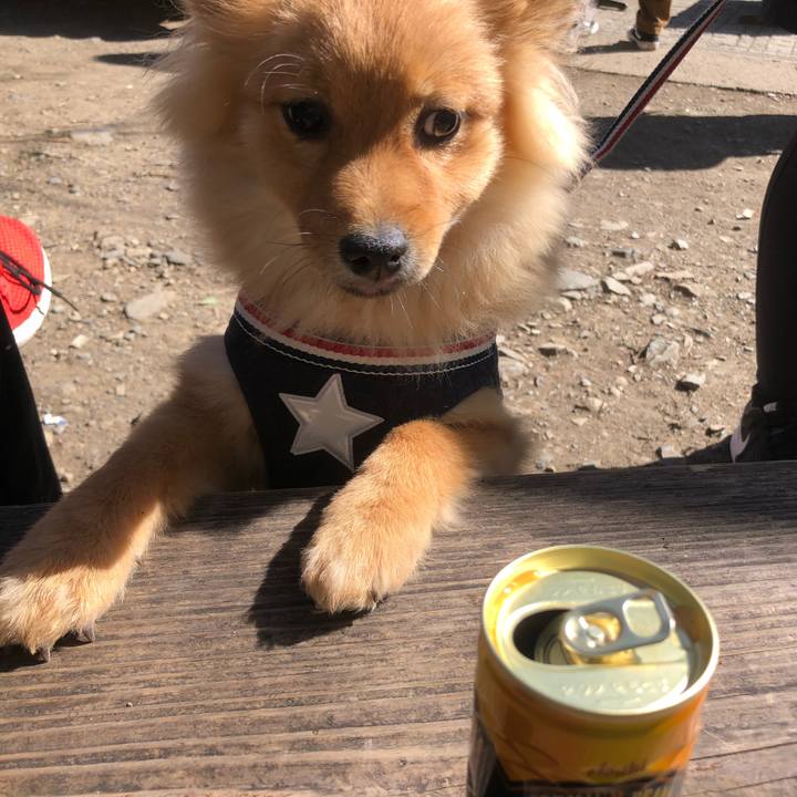 90ca8558 9a30 4199 8e8b e53385cfe4c6 1584362998915