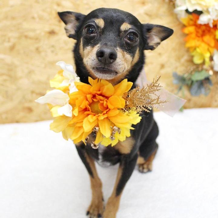 90ca929d 32c6 4a01 a6d3 f1c96bd190f7 1774488749578