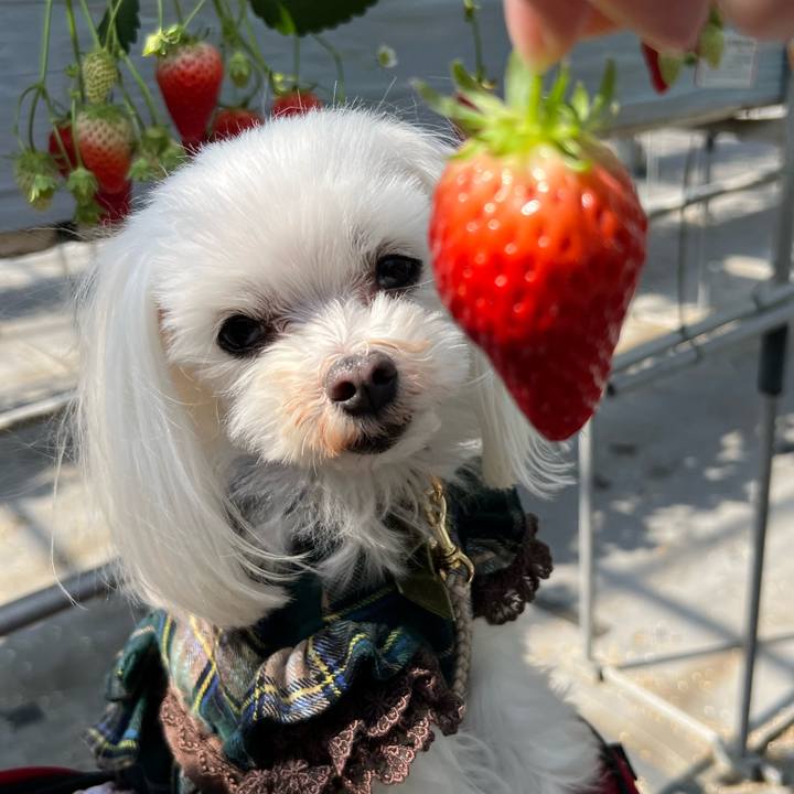 90ca95b6 f105 4d8c 89ff 67dec7fded4f 1710448487430