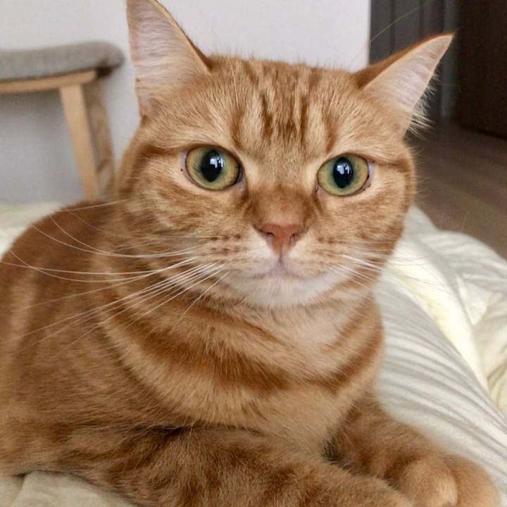 90cb1a4f d8d0 4946 b9ba 557f39317611 1542332587255