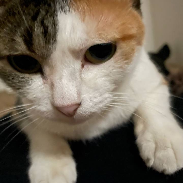 90cb3661 05d3 4911 9a7e 18b7532e18f2 1661972330815