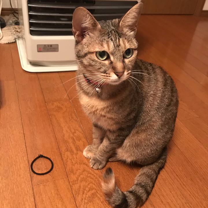 90cb6221 2b6e 4afa 8053 ae8944e30bcf 1586131889579