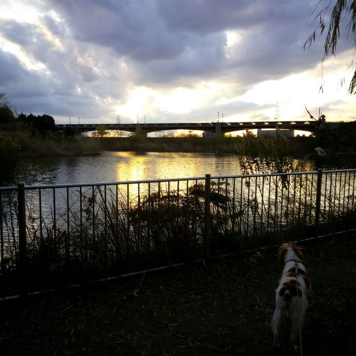 90cb6281 3ea7 4602 8fb2 a22d498115e4 1513670653422